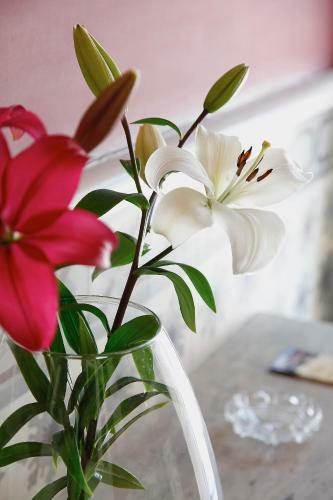 Hotel Villa De Luarca