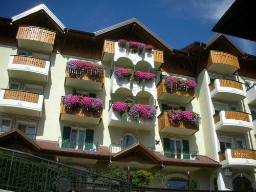 Hotel Alpotel Dolomiten