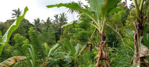 La Chance House Munduk