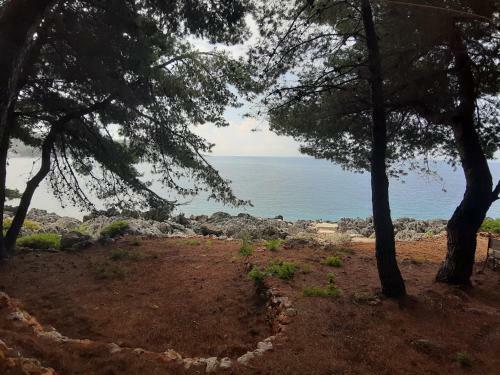The Sea Cave Camping