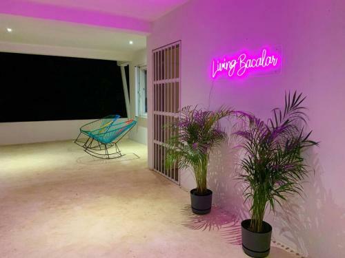 Casa Boox Jaguar
