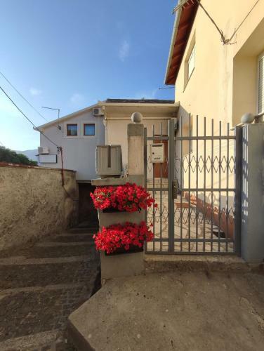 Apartments Sole Mio