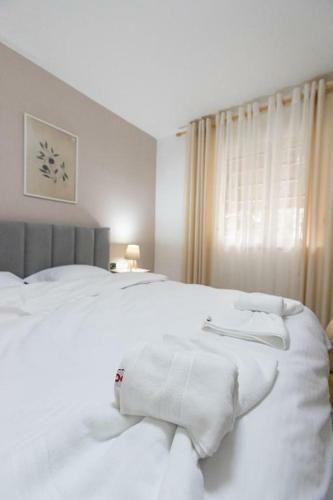 Light-2 Apartment In Tirana City Center