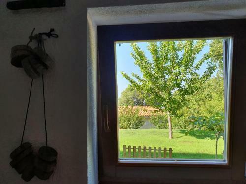 Apartman Marti