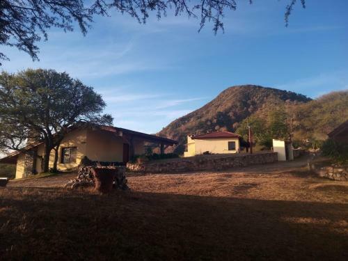 Buena Vista Complejo