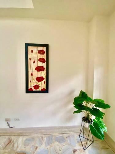 Casa Con Parking Y Terraza En Sector Exclusivo