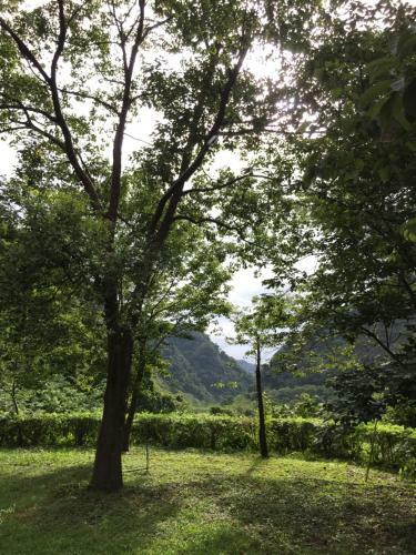 Teng-long Hot Spring Village