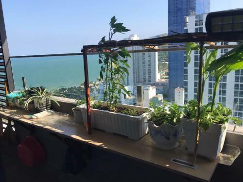 Apartamento C?n H? Cao C?p Flc Seatower