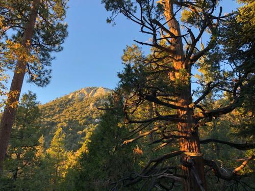 Haven Idyllwild