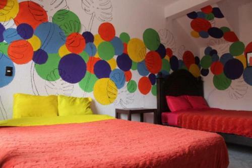 Suites San Crist�bal