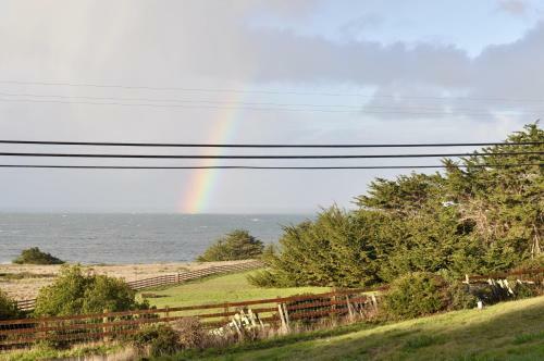 Cooks Beach House Home