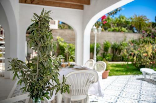 Villas Guzman - Palmera
