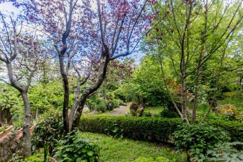 Bed & Breakfast Il Boschetto Di Castagni