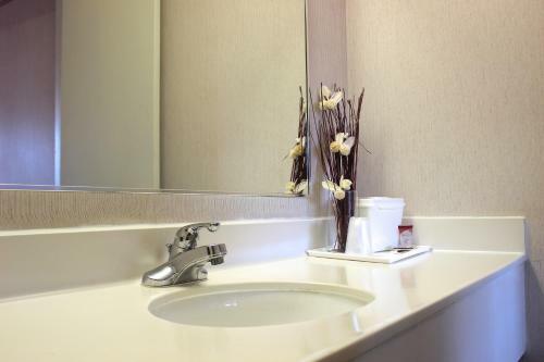 Hotel Regency Inn Richmond