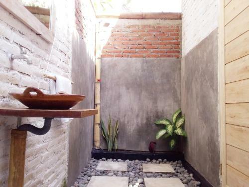 Albergue Jungle House - Surf & Stay