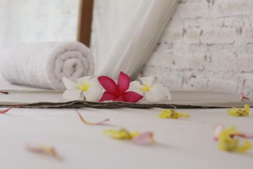 Albergue Jungle House - Surf & Stay