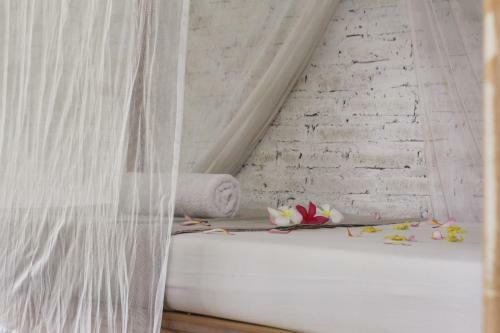 Albergue Jungle House - Surf & Stay
