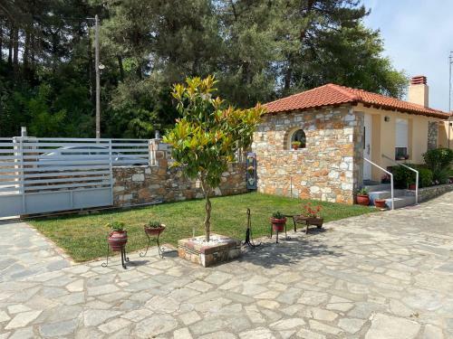 Mini House