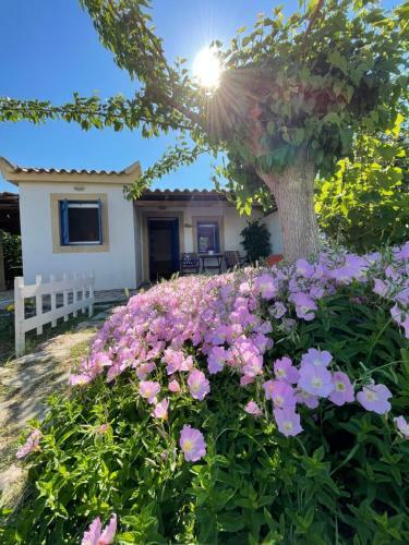 Vasilopoulos Estate