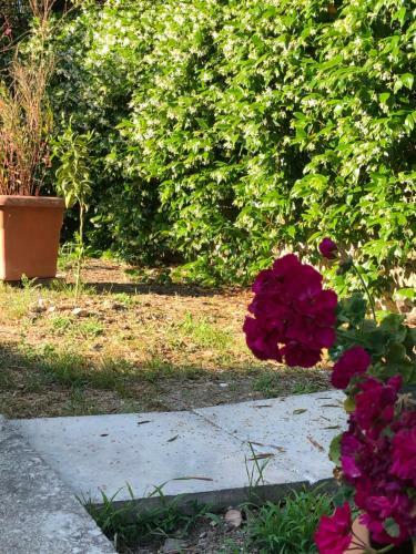 Apartamento Country Flat Maria