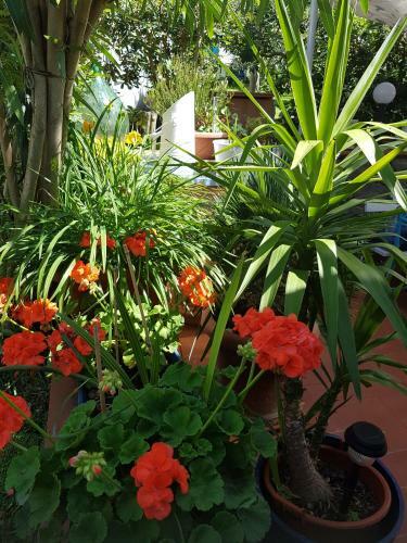 Apartamento Casa Nel Chianti Da Norma