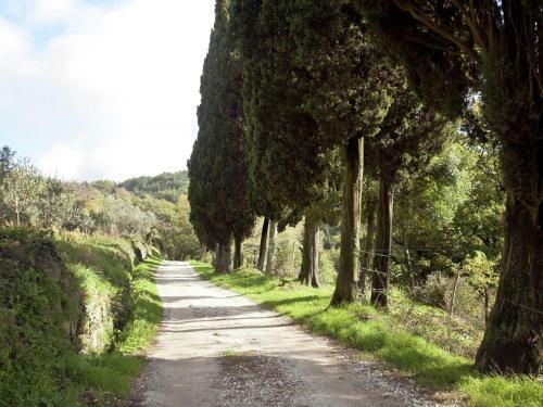 Apartment Le Olive Montorsoli