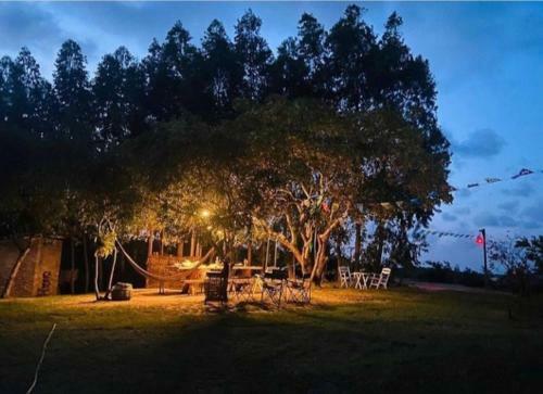 A Casa Concha: Casinha de Taipa, Praia de Gravata