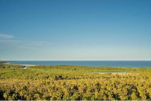 A Casa Concha: Casinha de Taipa, Praia de Gravata