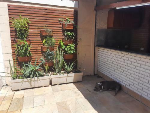 Casa Com Piscina Hidromassagem E Churrasqueira