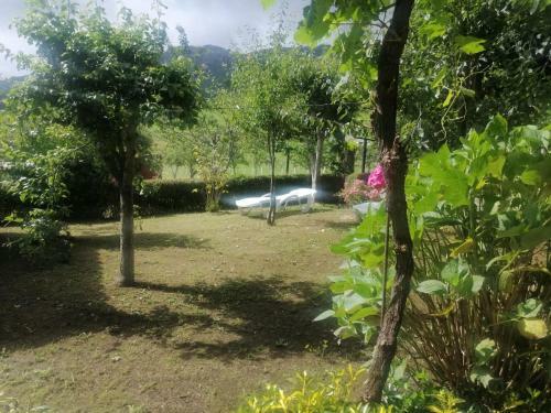 Apartamentos La Quintana