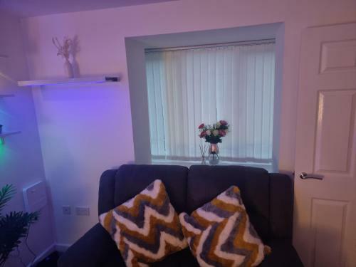 Large And Comfortable Sofa-bed