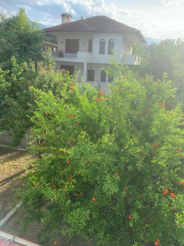 Gritsa Paradise Seaside House