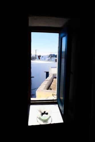 ?? ???? ????? ??? ?????????