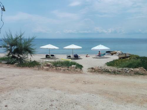 Porto Almira Beachfront Apartments