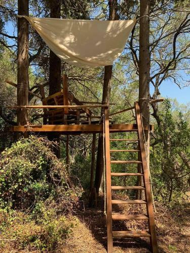 Pelekas Olive Grove Glamping Oasis No4