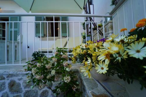 Villa Thehouse1905