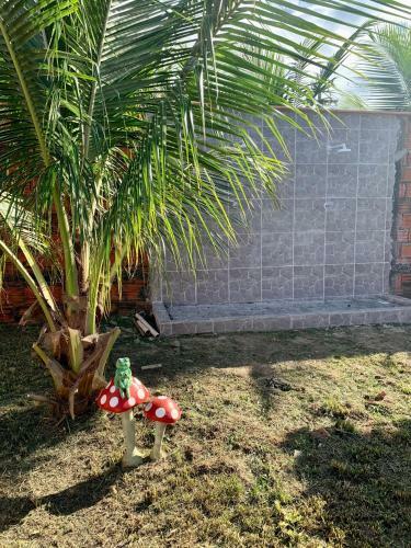 Casa Festival de Parintins Rr Home