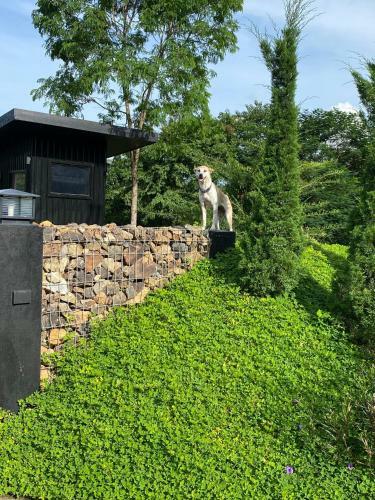 98 Mae Ram Residence