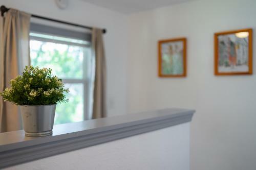 The Lily, 3-bed, Central, Lakeland, Near Themepark