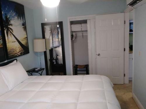 Tampa Bay Beautiful Apartment And Private Jacuzzi