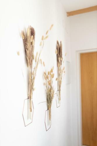 Apartm�n V Srdci Znojma ?jako Doma?