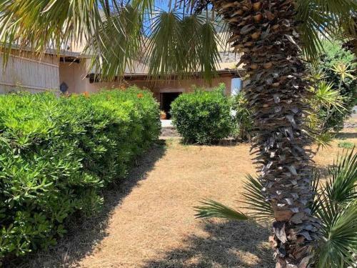 Casa Eolo - Lingua, Ideale Per Famiglie