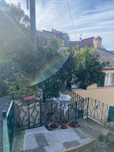 Apartamento Casa Canzio