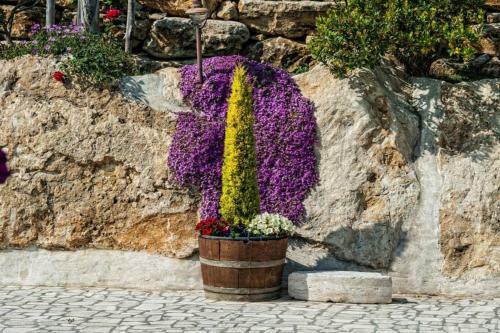 Il Giardino Dei Flintstones B&B