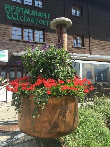 Hotel Weisshorn