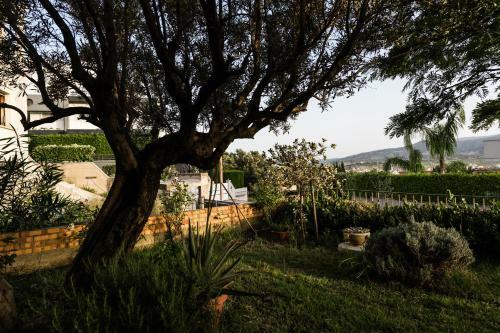 Bed & Breakfast Torre Ancinale
