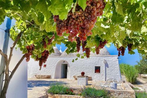 Villa Unique & Tranquil Trullo W Pool, Bbq, Views + More