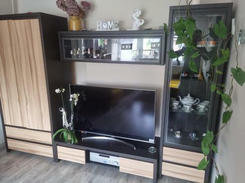 Apartament Baszta Kaszana