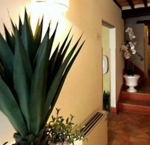 B&B Baldovino Di Monte