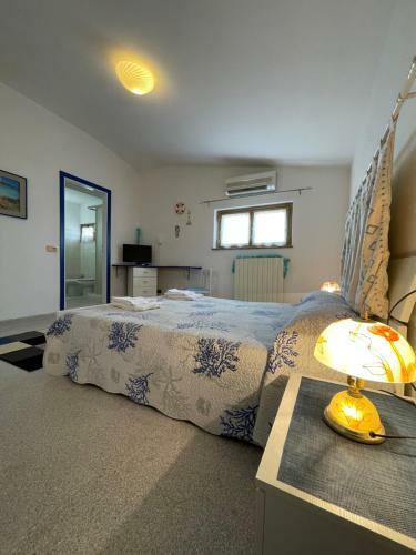 Hostal Imperia85 Lt